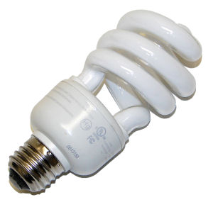 NO incandescent light bulbs, only LED & Compact Fluorescent